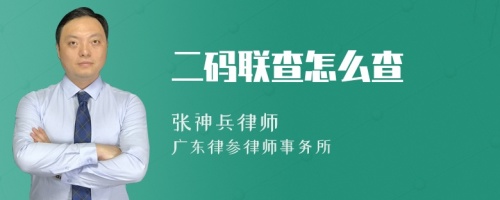 二码联查怎么查