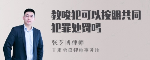 教唆犯可以按照共同犯罪处罚吗