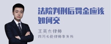 法院判刑后罚金应该如何交