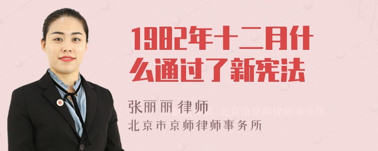 1982年十二月什么通过了新宪法