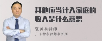 其他应当计入家庭的收入是什么意思