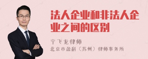 法人企业和非法人企业之间的区别