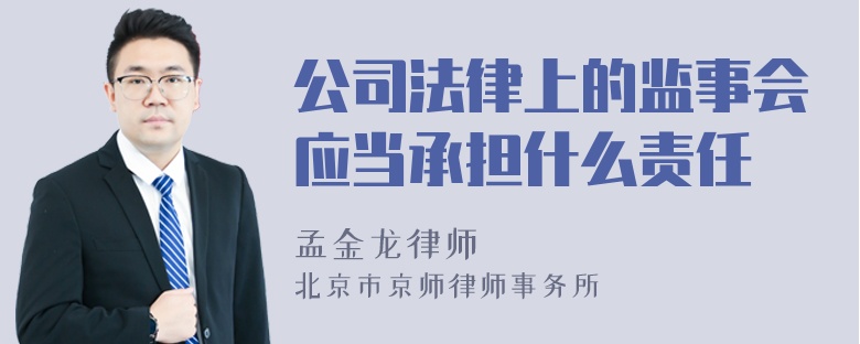 公司法律上的监事会应当承担什么责任