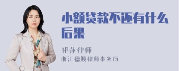 小额贷款不还有什么后果