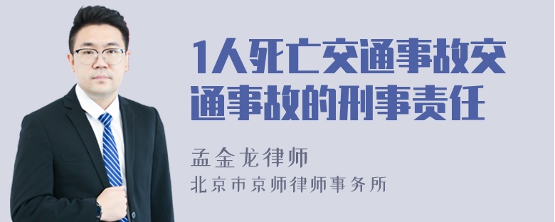 1人死亡交通事故交通事故的刑事责任