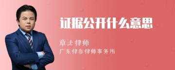 证据公开什么意思