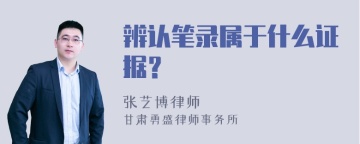 辨认笔录属于什么证据？