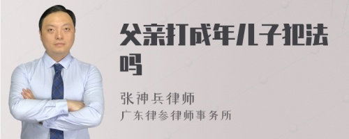 父亲打成年儿子犯法吗