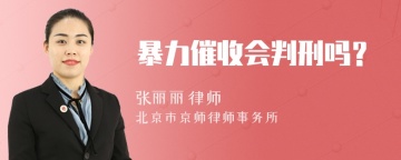 暴力催收会判刑吗？