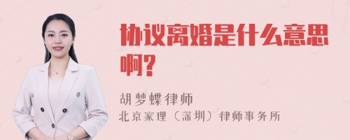 协议离婚是什么意思啊?