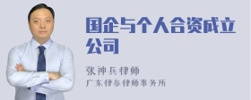 国企与个人合资成立公司