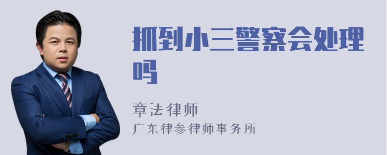 抓到小三警察会处理吗