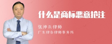 什么是商标恶意抢注