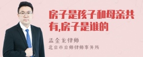 房子是孩子和母亲共有,房子是谁的