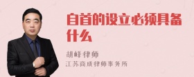 自首的设立必须具备什么