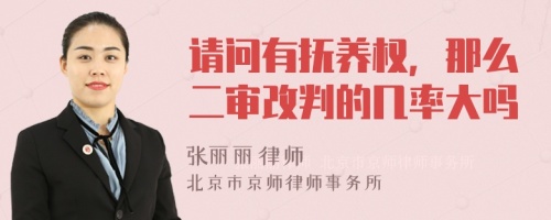 请问有抚养权，那么二审改判的几率大吗