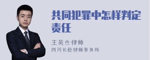 共同犯罪中怎样判定责任