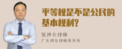 平等权是不是公民的基本权利?