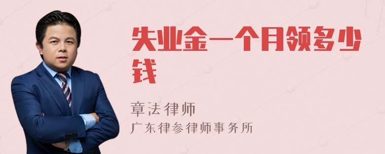 失业金一个月领多少钱