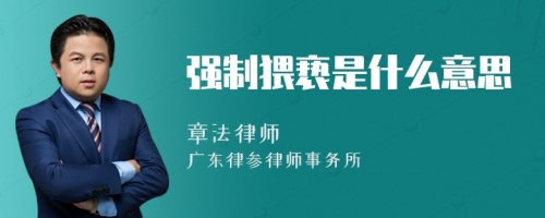 强制猥亵是什么意思