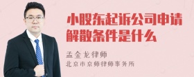 小股东起诉公司申请解散条件是什么