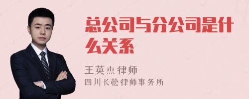 总公司与分公司是什么关系