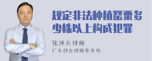 规定非法种植罂粟多少株以上构成犯罪