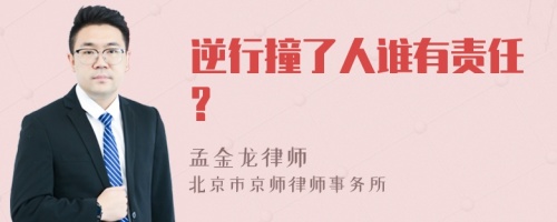 逆行撞了人谁有责任?