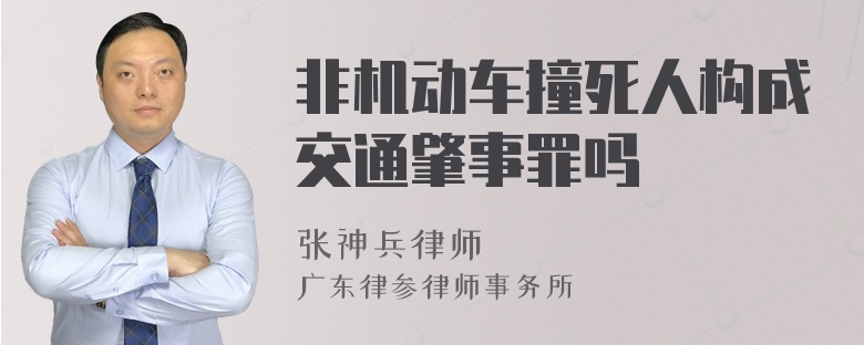 非机动车撞死人构成交通肇事罪吗