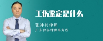 工伤鉴定是什么