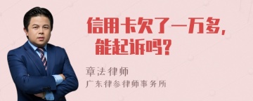 信用卡欠了一万多, 能起诉吗?