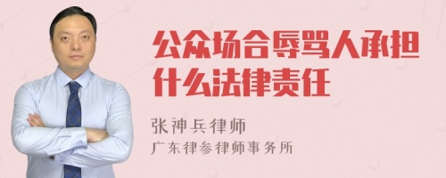 公众场合辱骂人承担什么法律责任