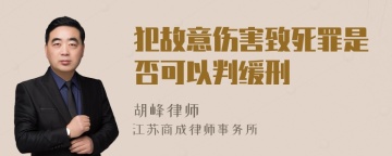 犯故意伤害致死罪是否可以判缓刑