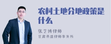 农村土地分地政策是什么