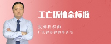 工亡抚恤金标准