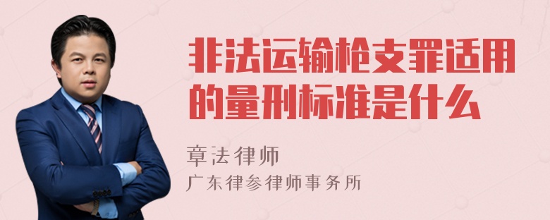 非法运输枪支罪适用的量刑标准是什么