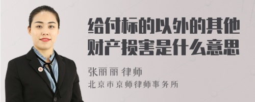 给付标的以外的其他财产损害是什么意思