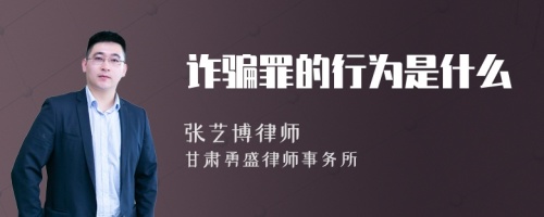 诈骗罪的行为是什么