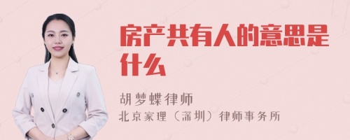 房产共有人的意思是什么