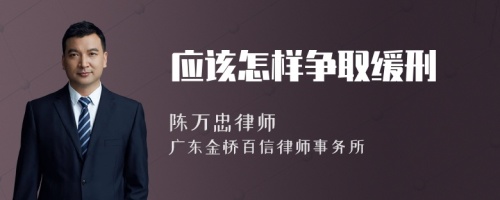 应该怎样争取缓刑