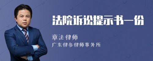 法院诉讼提示书一份