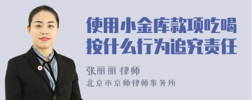 使用小金库款项吃喝按什么行为追究责任