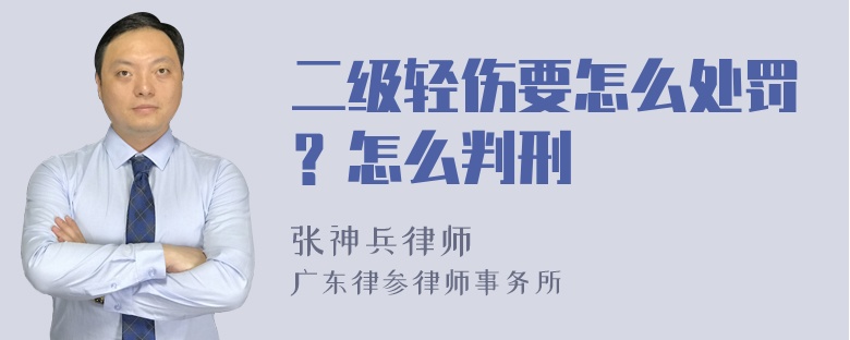 二级轻伤要怎么处罚？怎么判刑