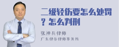 二级轻伤要怎么处罚？怎么判刑