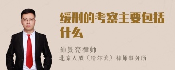 缓刑的考察主要包括什么
