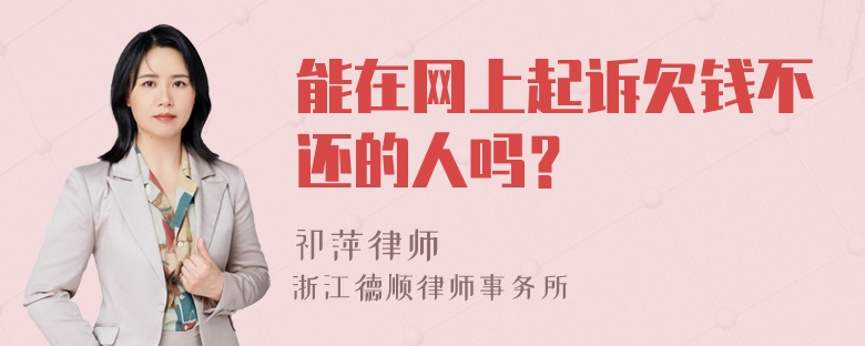 能在网上起诉欠钱不还的人吗？