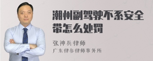 潮州副驾驶不系安全带怎么处罚