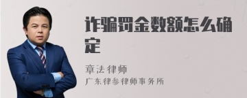 诈骗罚金数额怎么确定