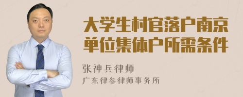 大学生村官落户南京单位集体户所需条件