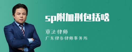 sp附加刑包括啥